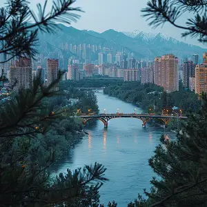 剁椒鱿鱼头的含义